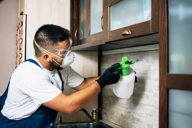 Best Residential Pest Control  in Nowata, OK