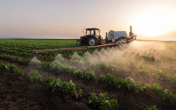 Best Best Pest Control Companies  in Nowata, OK
