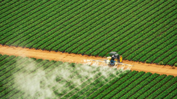 Best Commercial Pest Control Services  in Nowata, OK