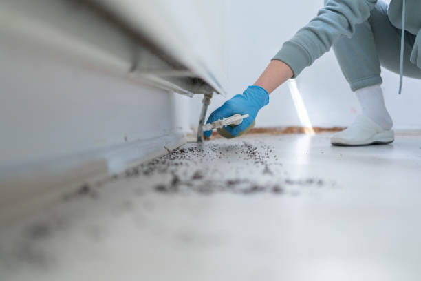 Best Best Pest Control Companies  in Nowata, OK